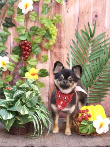 20230809ゴン太くん